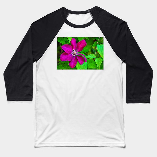 Brilliant Clematis Baseball T-Shirt by mariakeady